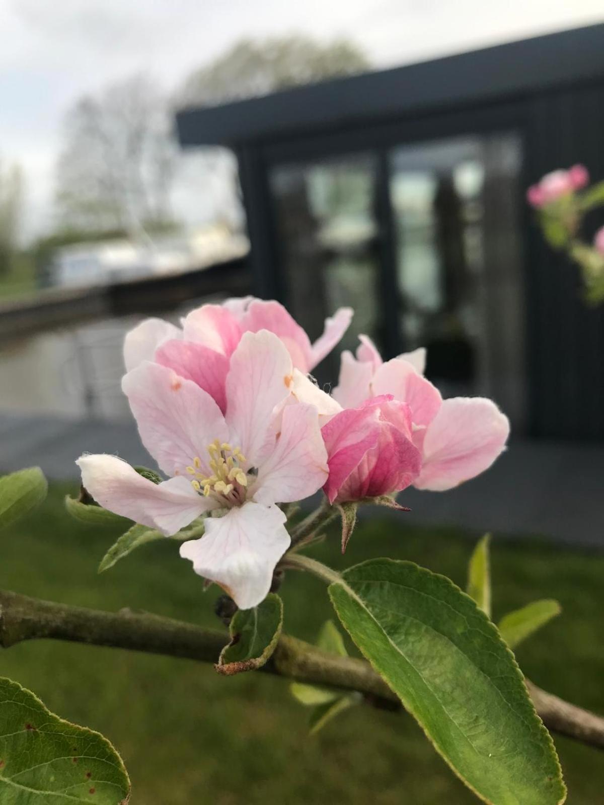 Uniek Overnachten In Een Tiny House Op De Appelhof Wommels 외부 사진